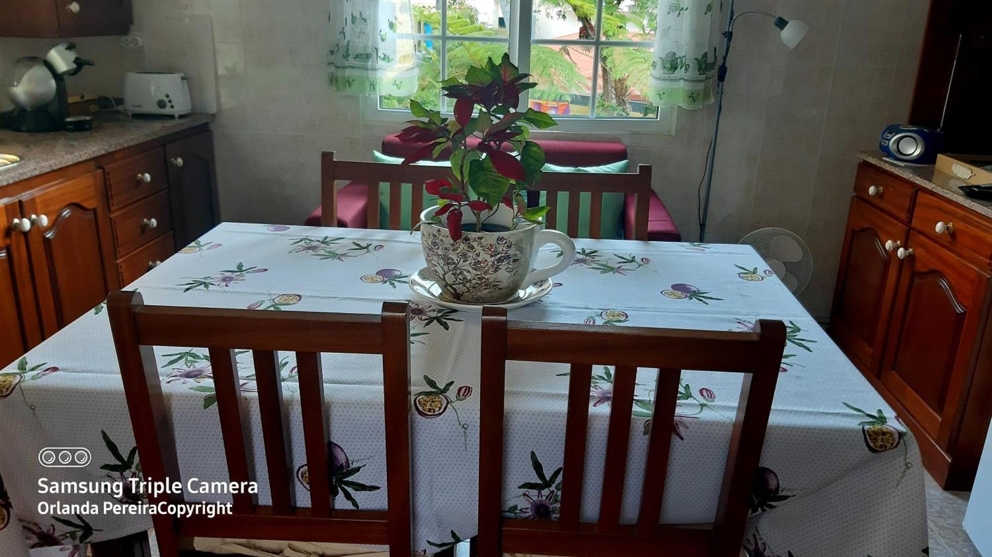 Terra Cha Cottage,Feel Home, Sao Vicente  Ngoại thất bức ảnh