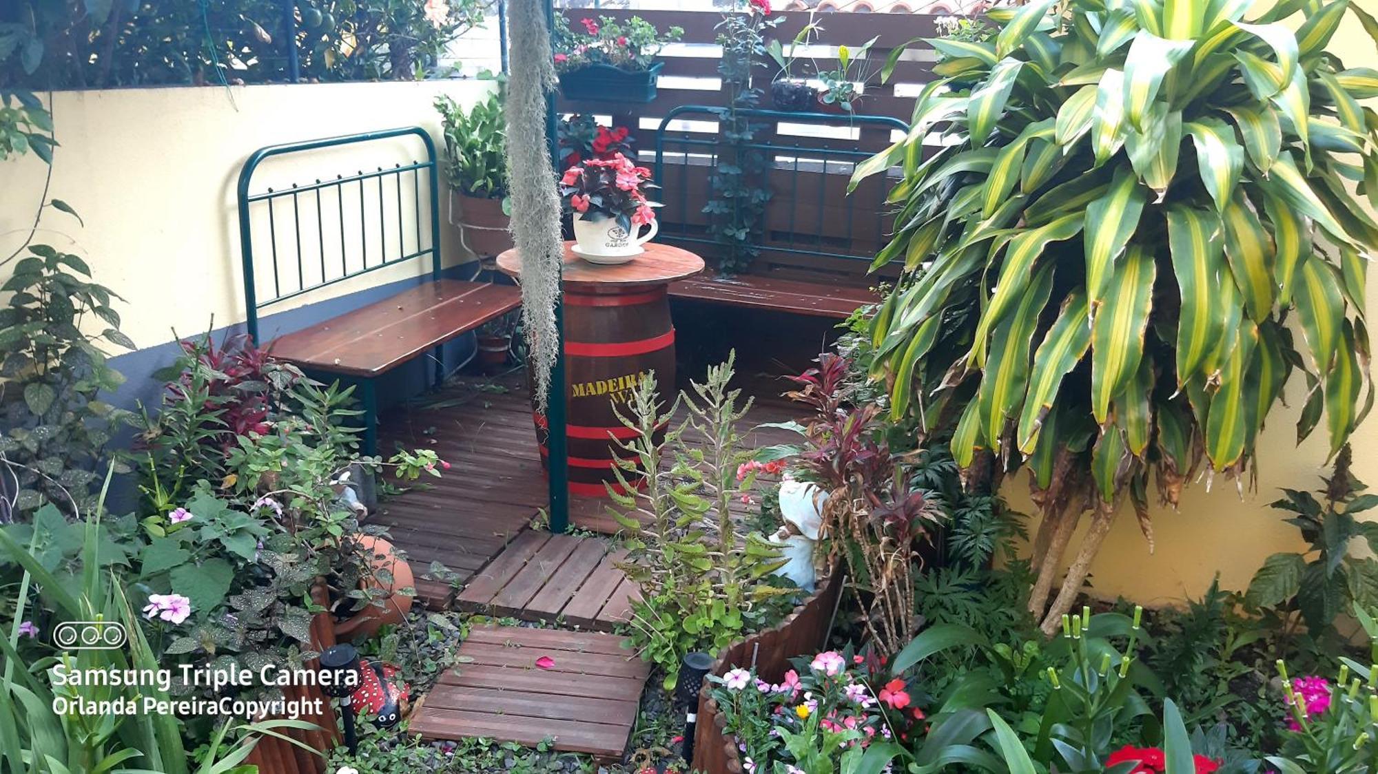 Terra Cha Cottage,Feel Home, Sao Vicente  Ngoại thất bức ảnh